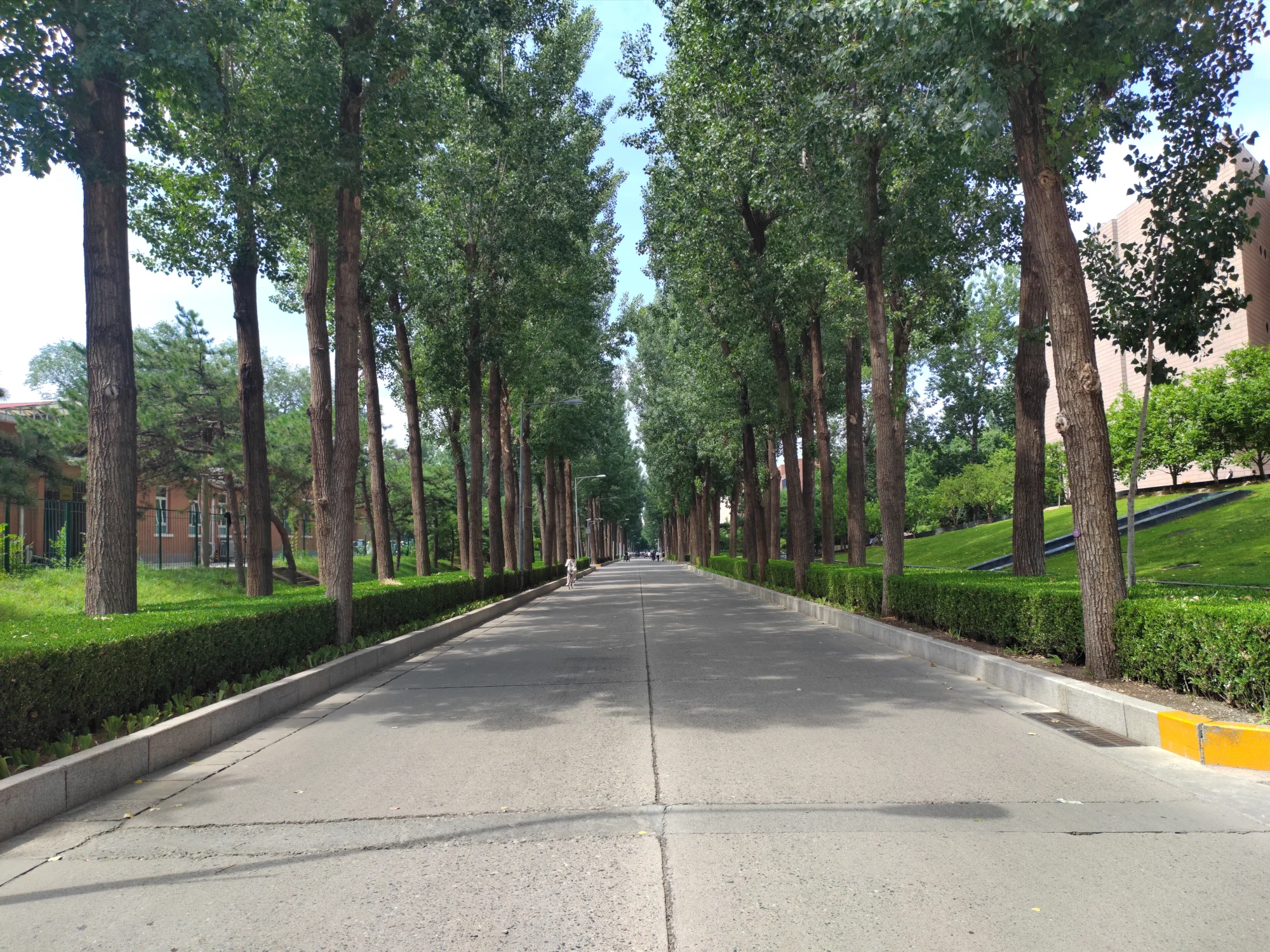 ​清华大学街景