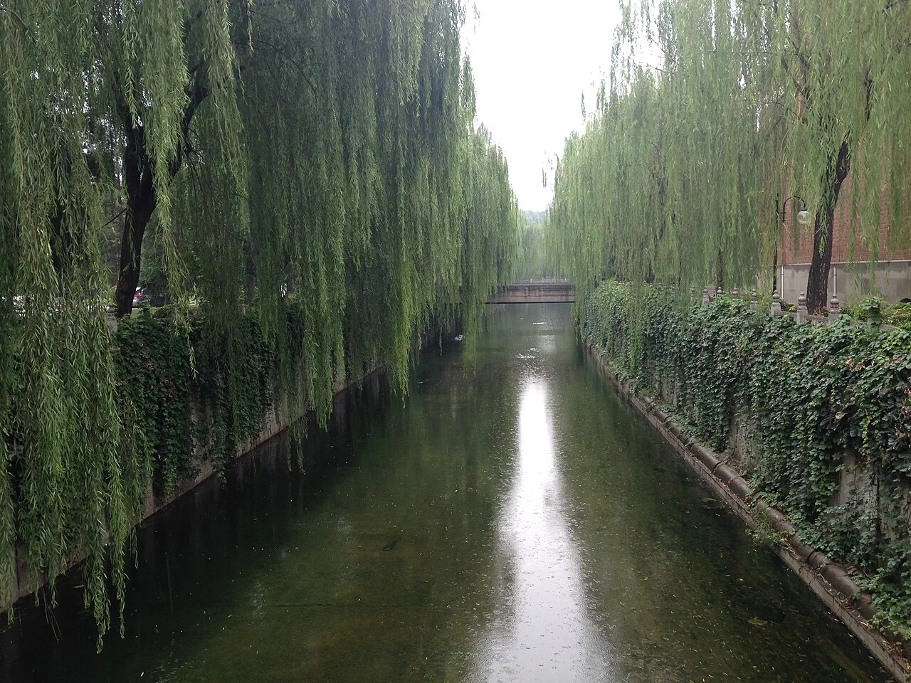清華大学内の水路