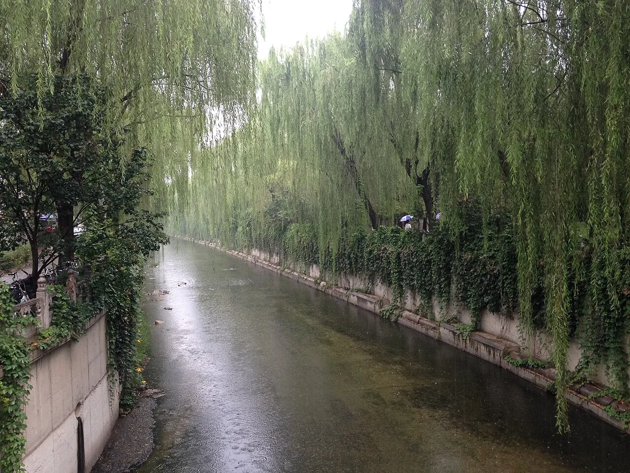 清華大学内の水路