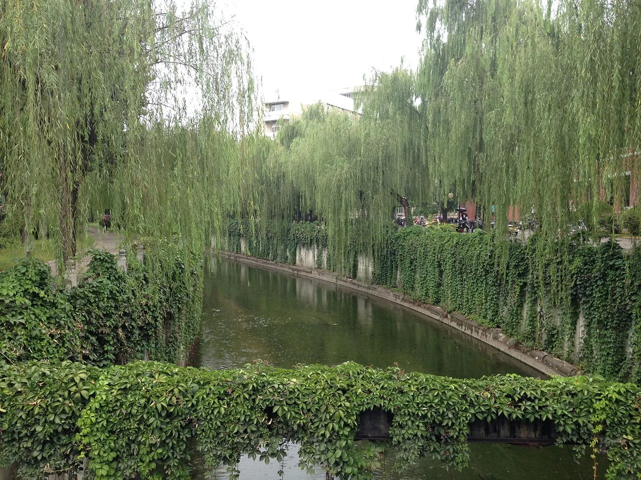 清華大学内の水路