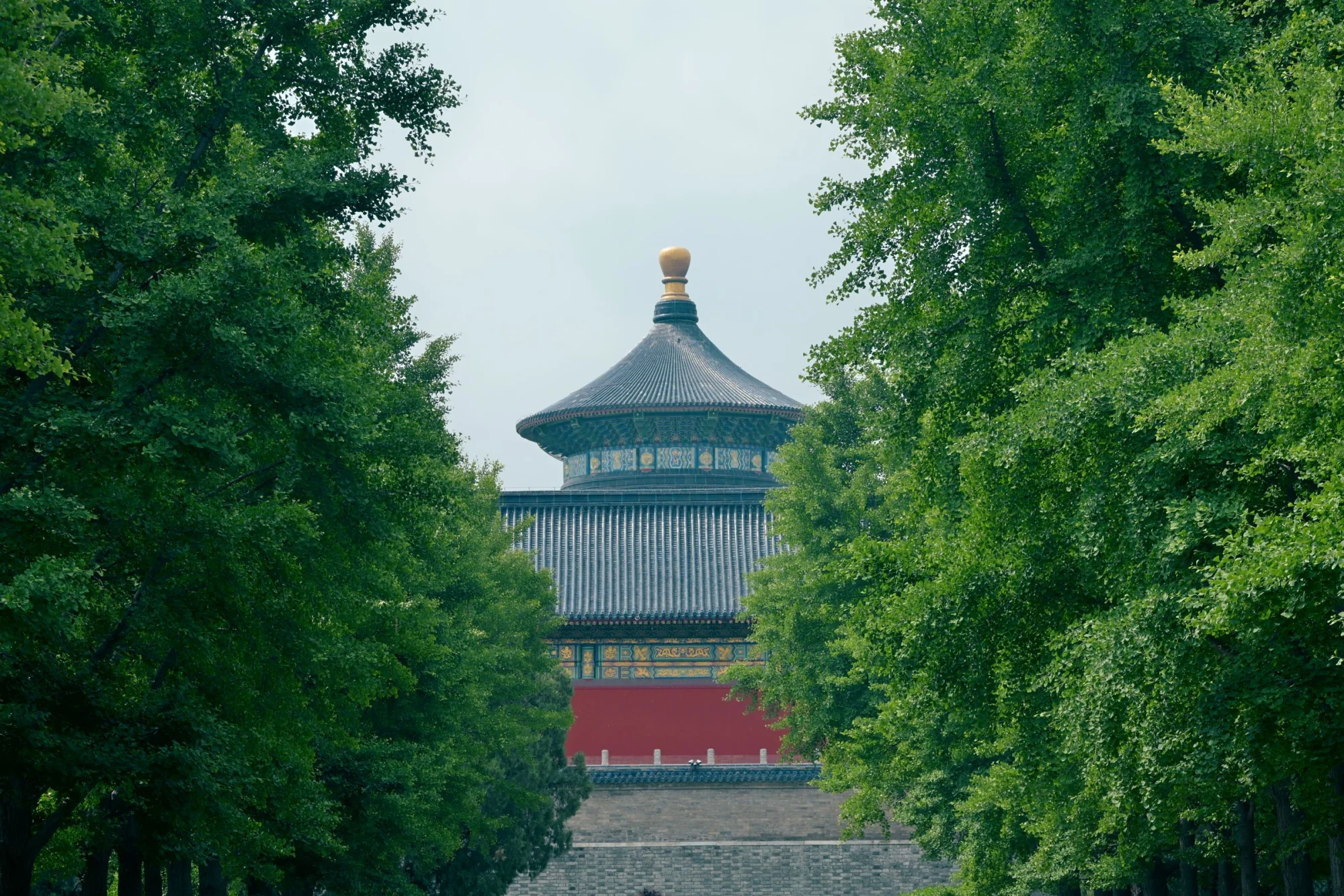 Scenic view of the Temple of Heaven framed by lush green trees under a clear sky.