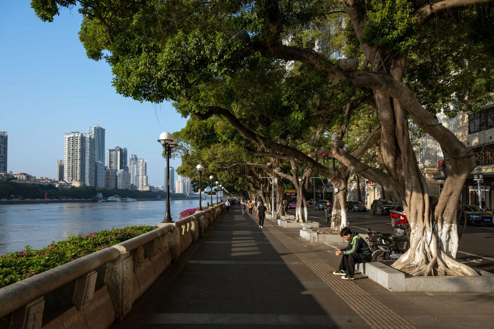 A serene riverside promenade in Guangzhou, China, lined with trees and city skyline.