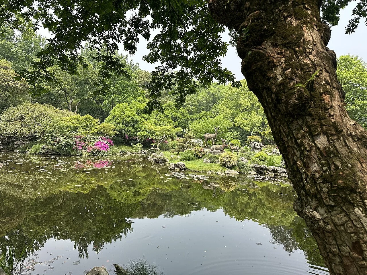 Botanic Garden of Hangzhou during April 2025