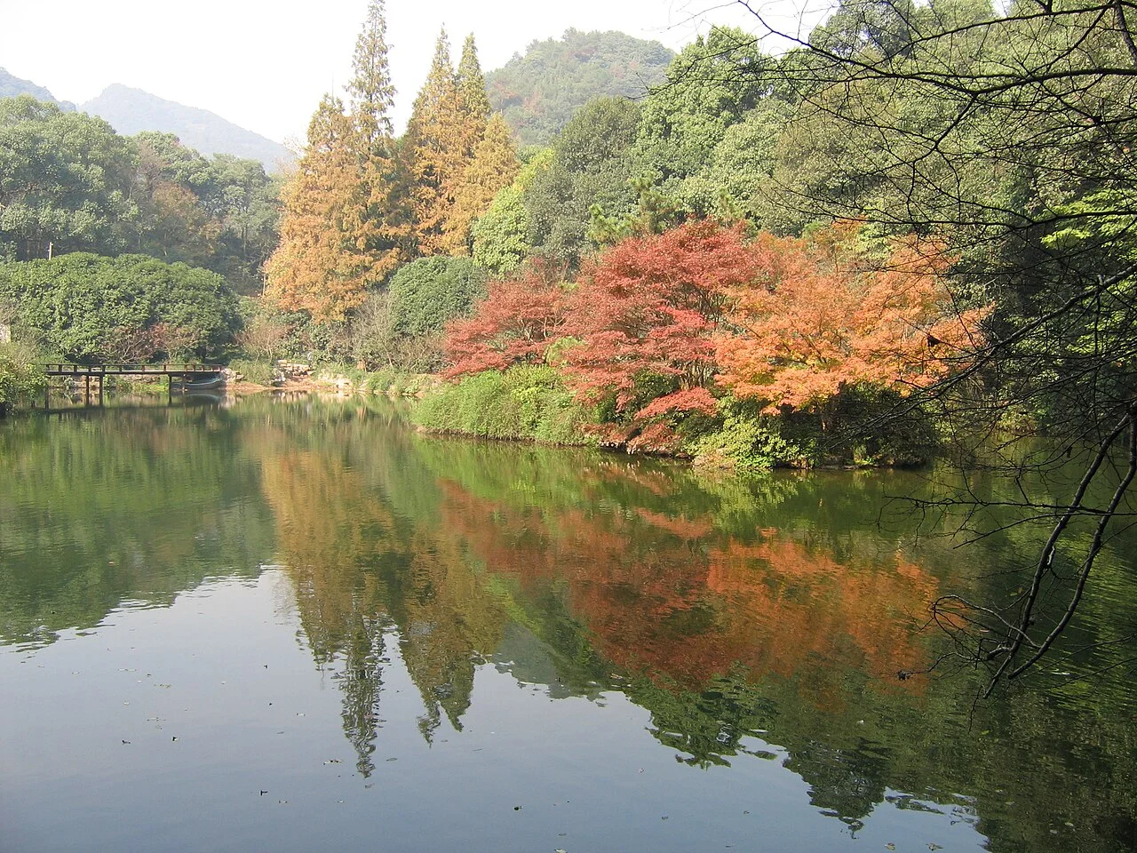 China Hangzhou Nine Creeks Meandering Through a Misty Forest(九溪烟树)
