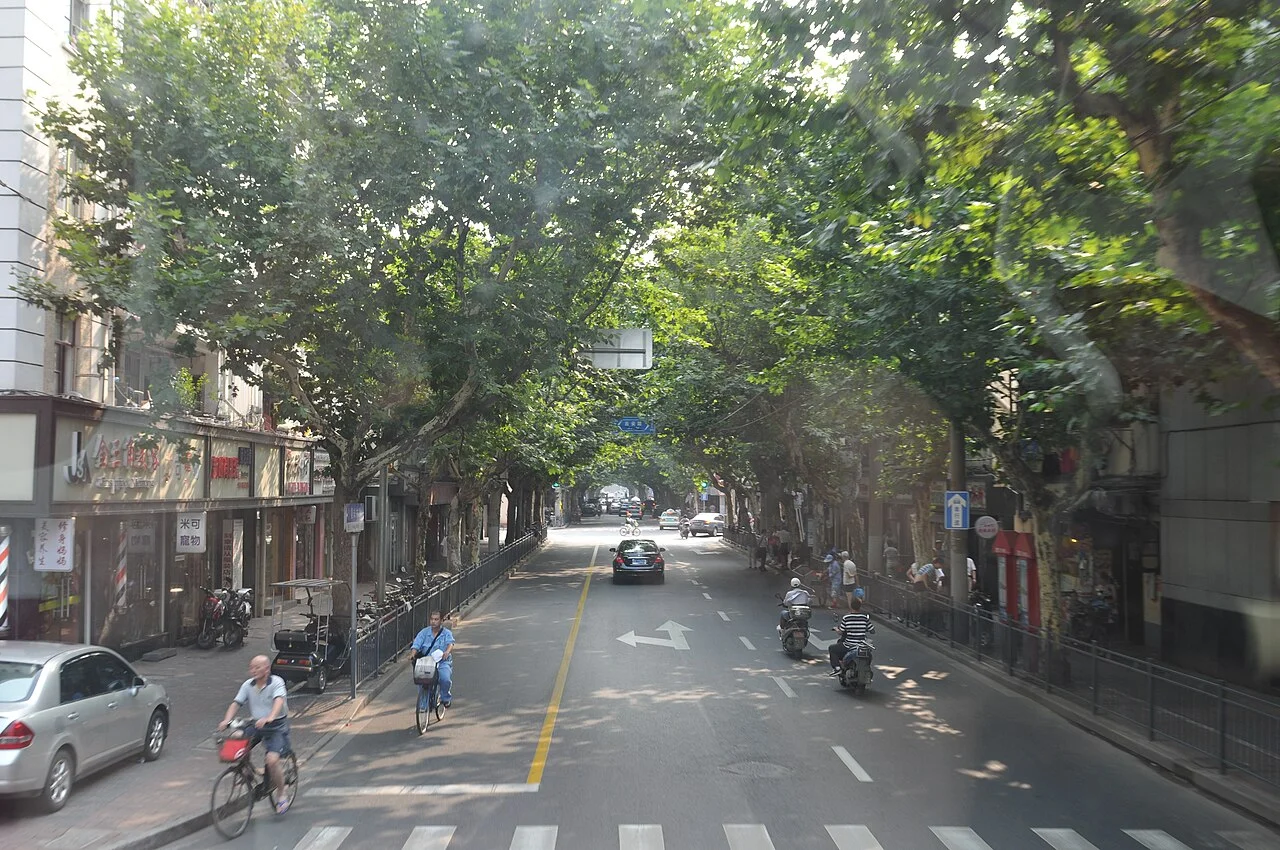 中国上海卢湾区 China Shanghai, Luwan District, China Xinjiang Urumqi Welcome you to tour the, Китай Синьцзяна Урумчи приветствовать Вас на экскурсию, الصين ترحب زيارتك لاورومتشى فى شينجيانغ, 中国新疆のウルムチへの訪問を歓迎する, 中国新疆乌鲁木齐欢迎您来观光旅游 复兴中路