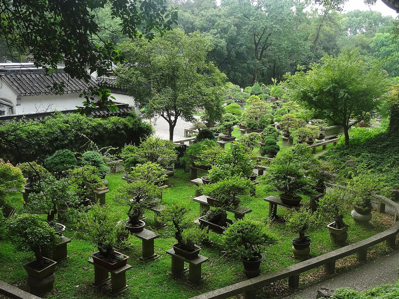 Bonsai garden at Tiger hill, Suzhou
