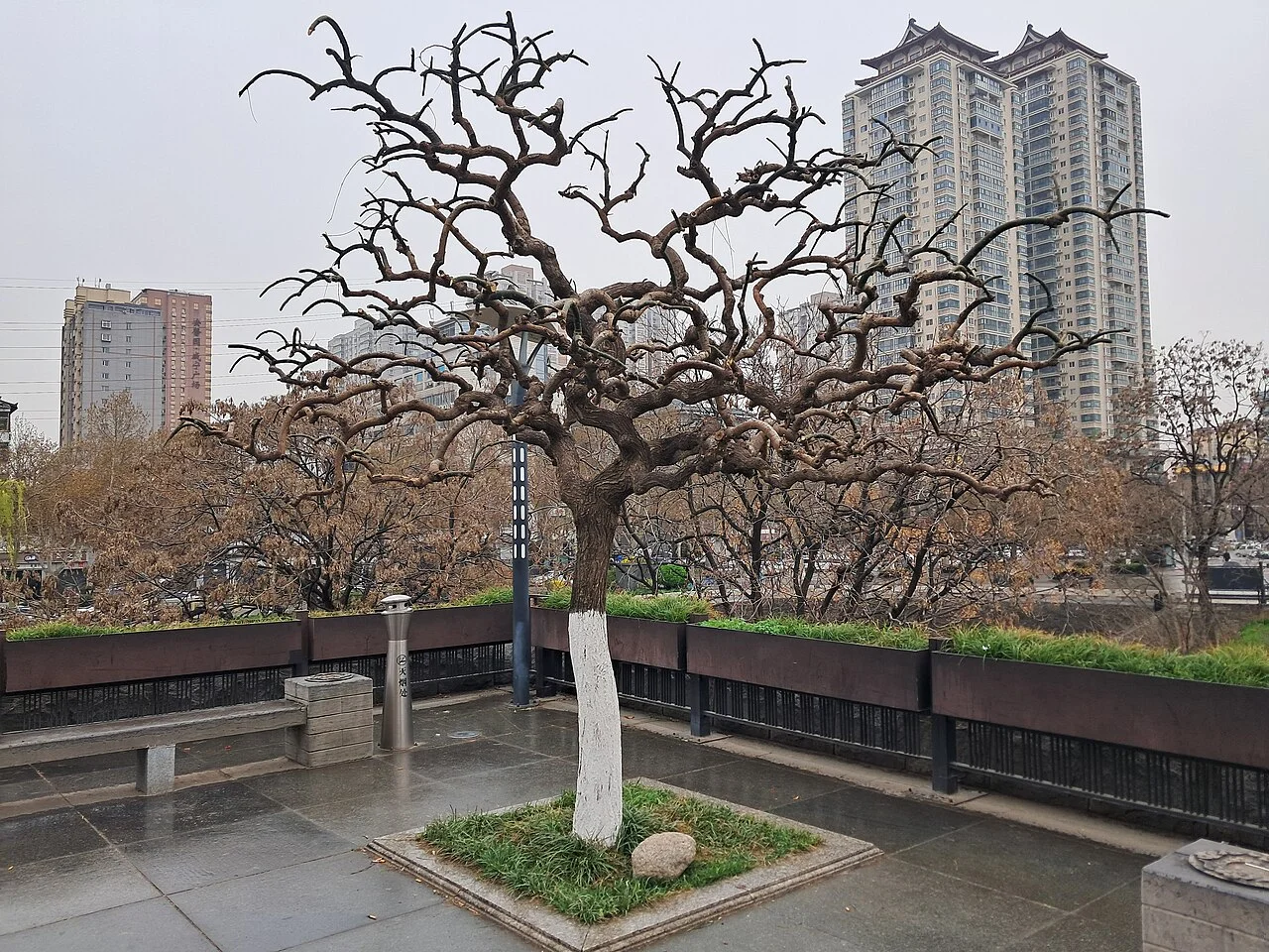 Park near Xi'an city walls